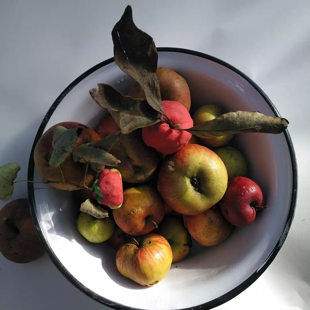 Eine weiße Emaille-Schüssel mit dunkelblauem Rand von oben. In der Schale liegen Apfel in verschiedenen Formen. Sie sehen aus wie frisch gepflückt, denn an einigen hängen noch Blätter.
