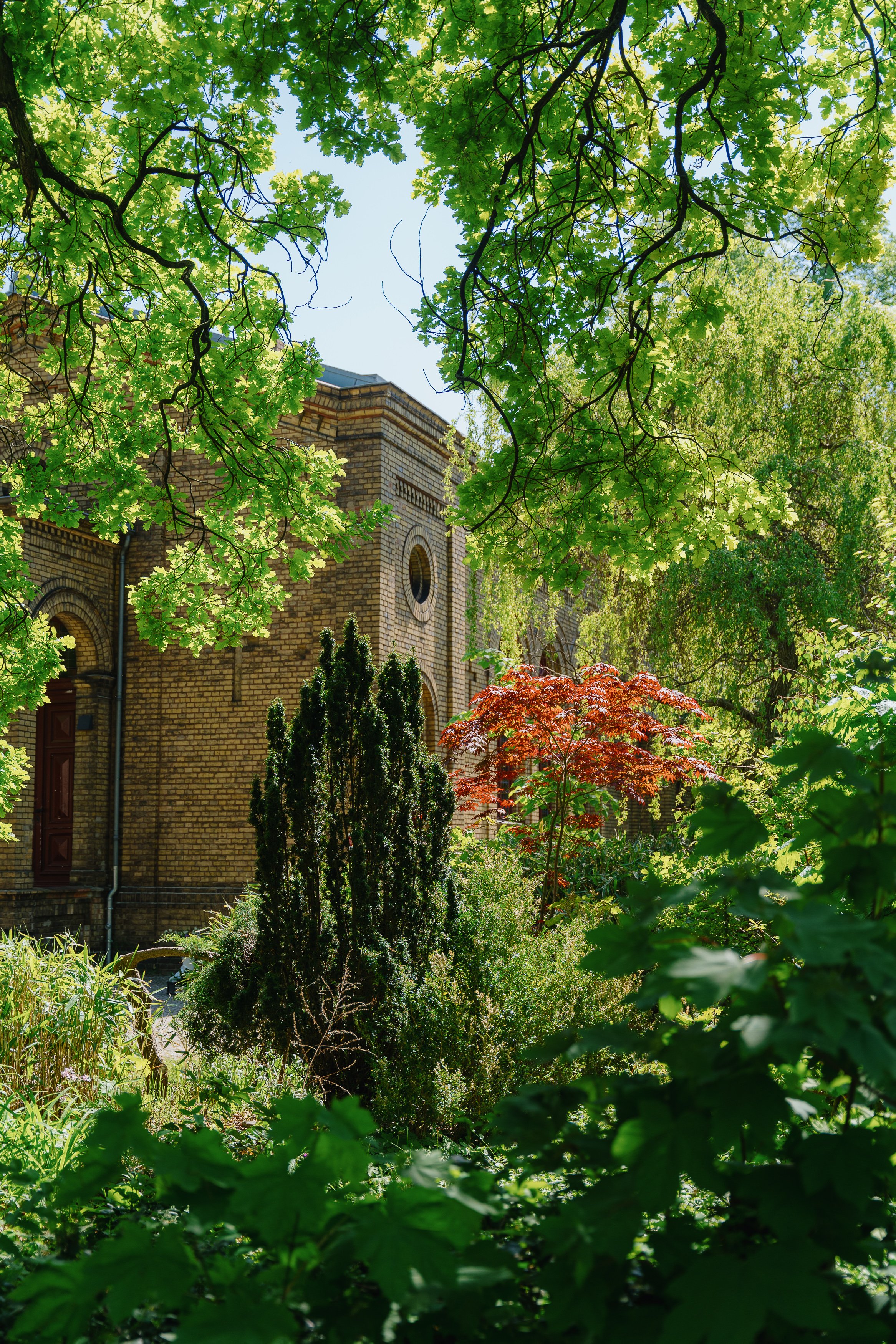 Ein Garten mit vielen grünen Bäumen und Sträuchern. Im Hintergrund ist ein Backsteinhaus.