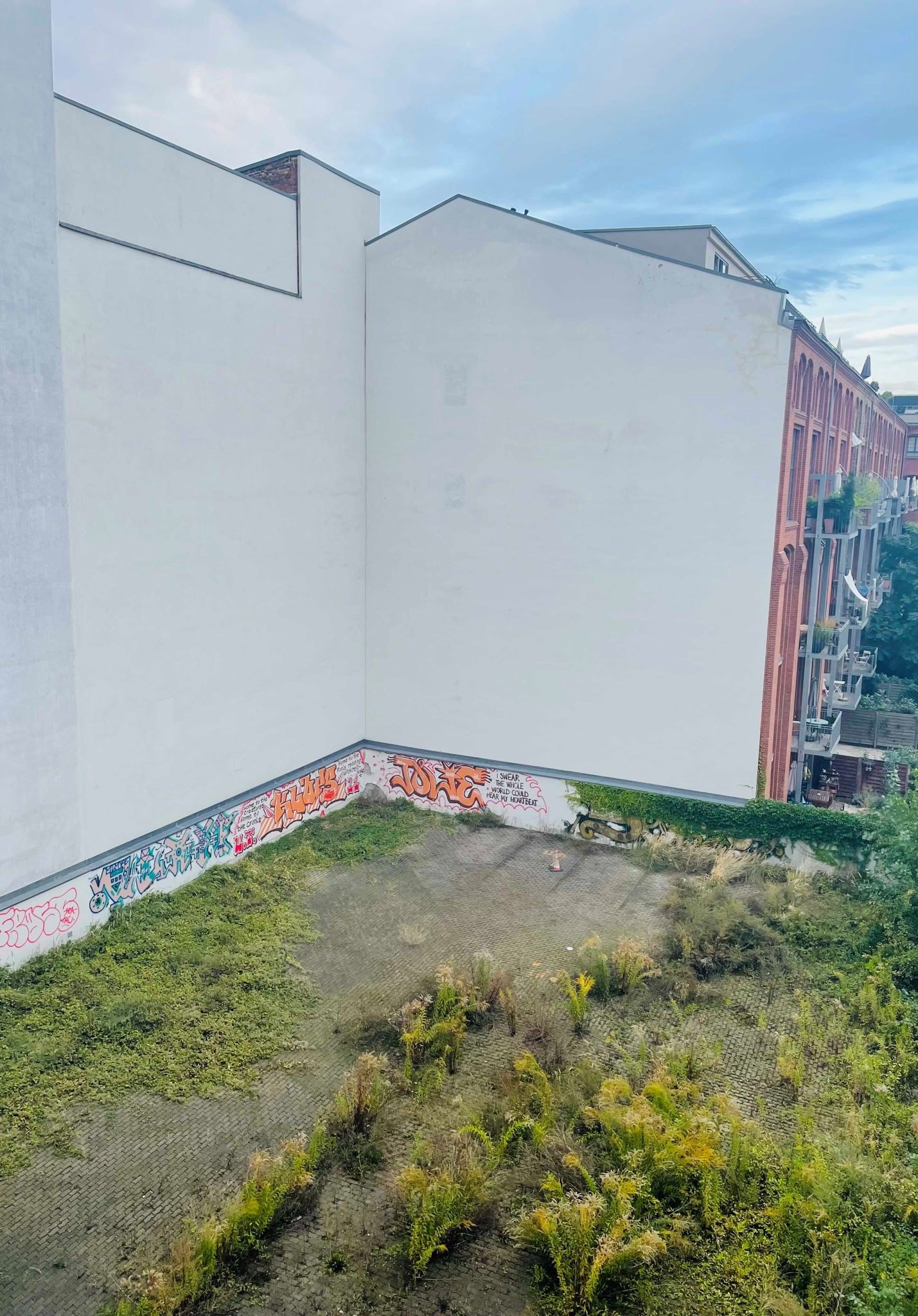 Aus einem oberen Stockwerk ist auf ein begrüntes, niedrigeres Hausdach fotografiert. Dahinter eine fensterlose beige Hauswand. Die Mauer des begrünten Hausdachs ist mit Graffiti bemalt.