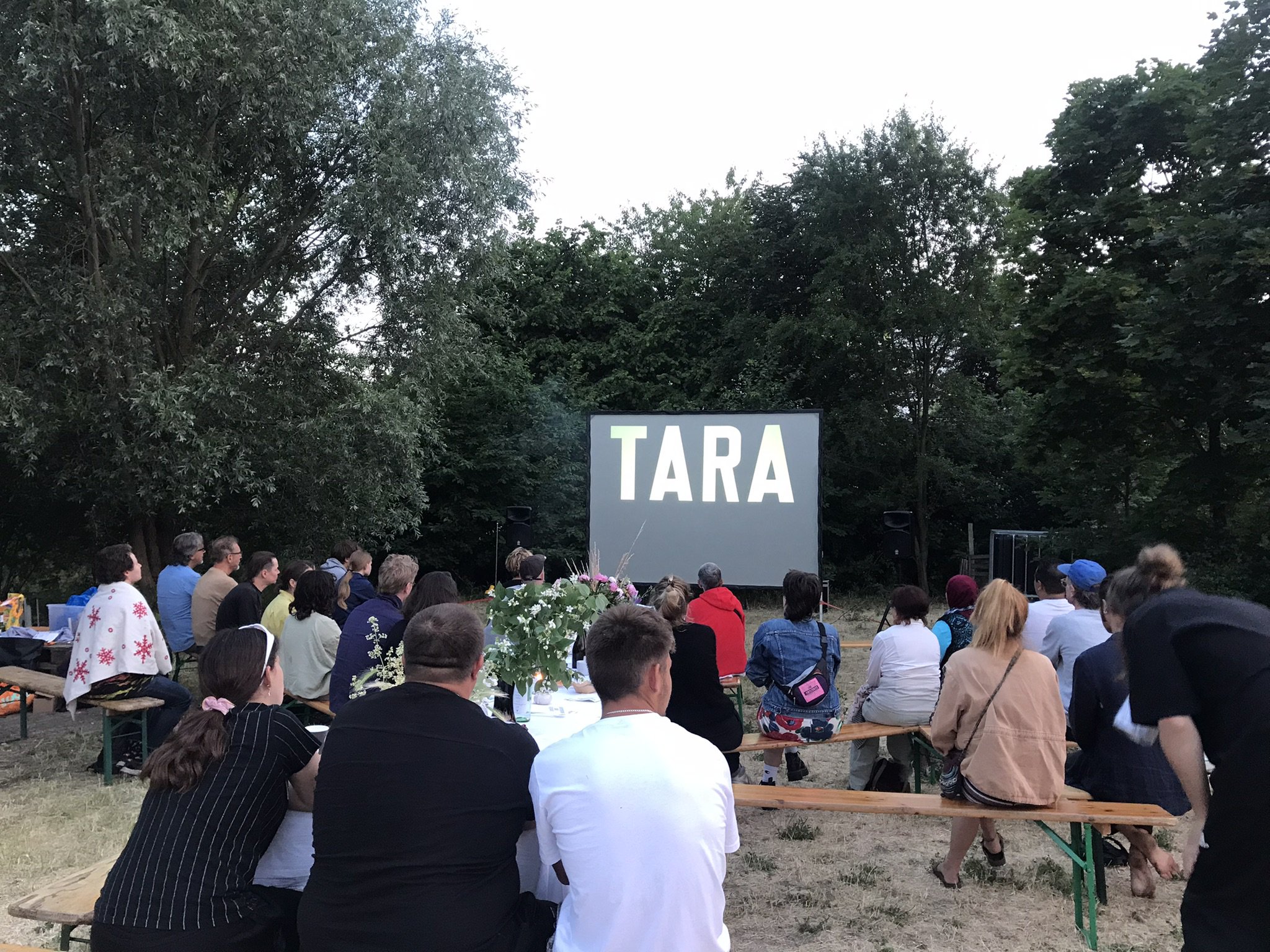 Eine Gruppe an Menschen sitzt verteilt auf Bierbänken in einem Park. Im Hintergrund ist eine Leinwand auf die mit einem Beamer das Wort Tara projeziert wird. Alle schauen zur Leinwand.