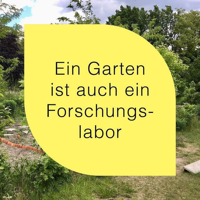 Auf einem gelben Quadrat steht: Ein Garten ist auch ein Forschungslabor. Im Hintergrund ist das Freiraumlabor am Dammweg.